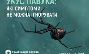 УКУС ПАВУКА: ЯКІ СИМПТОМИ НЕ МОЖНА ІГНОРУВАТИ