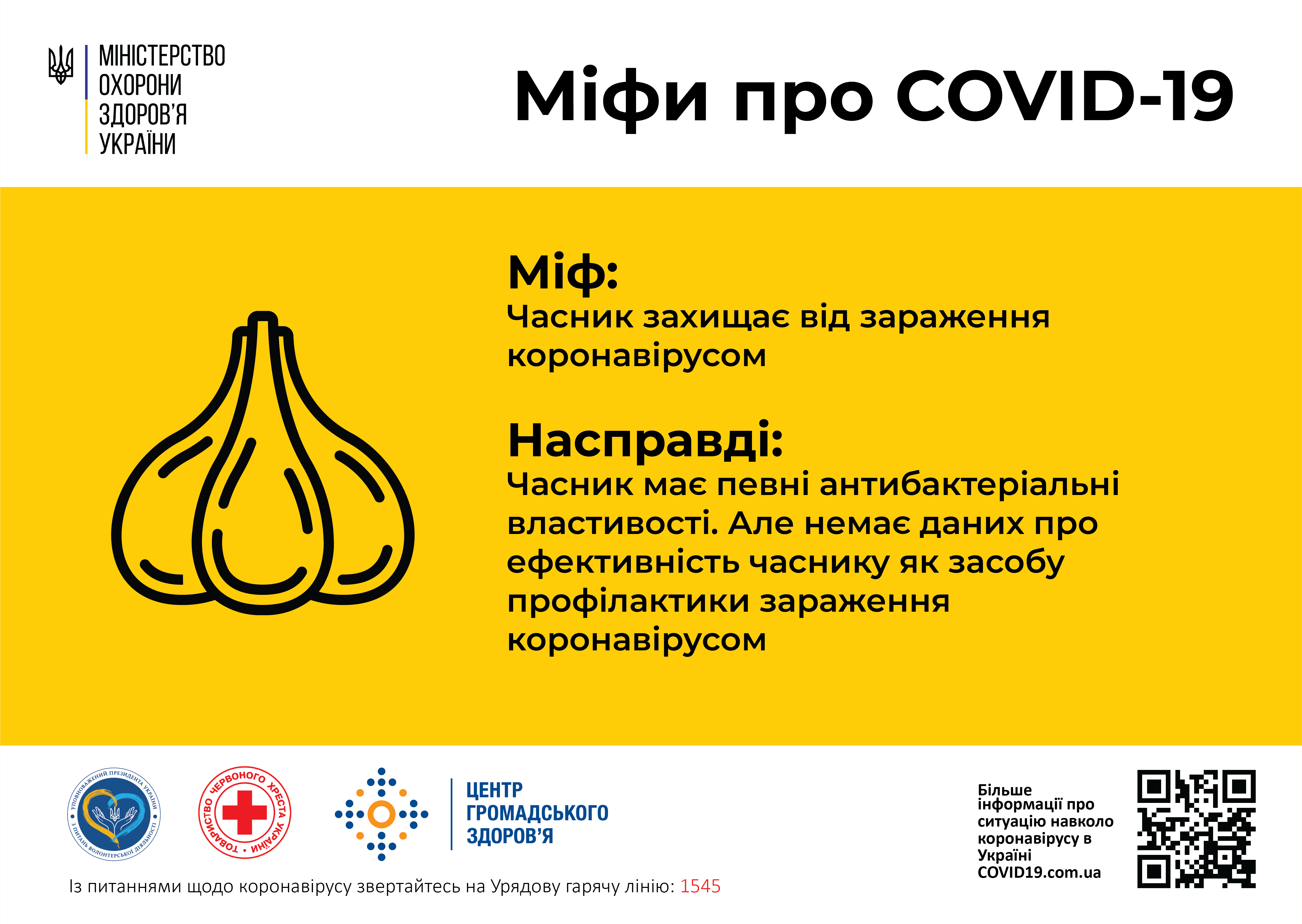 21 Міф часник   Web